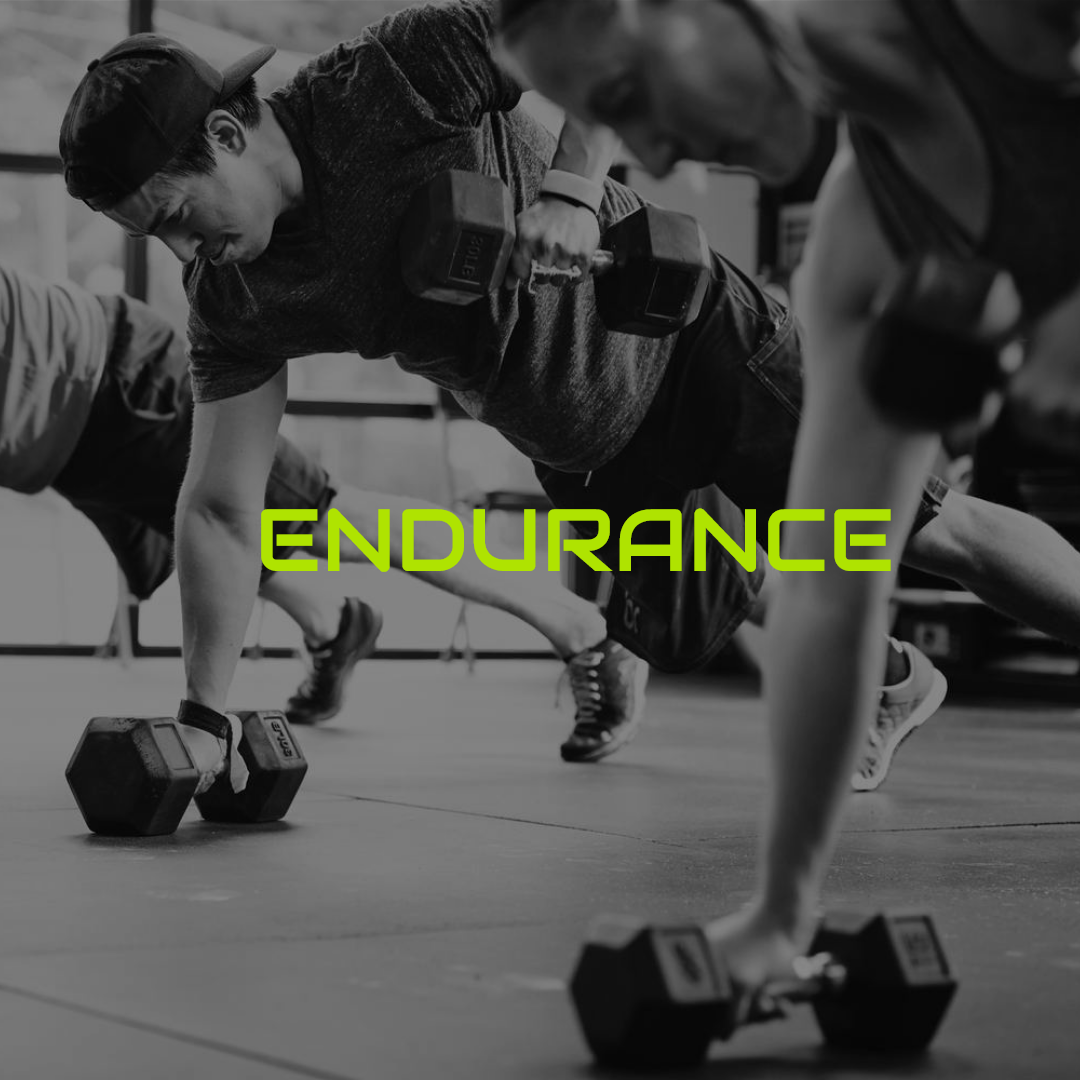 Endurance Workout Ciampino Roma Sud Mega One Gym