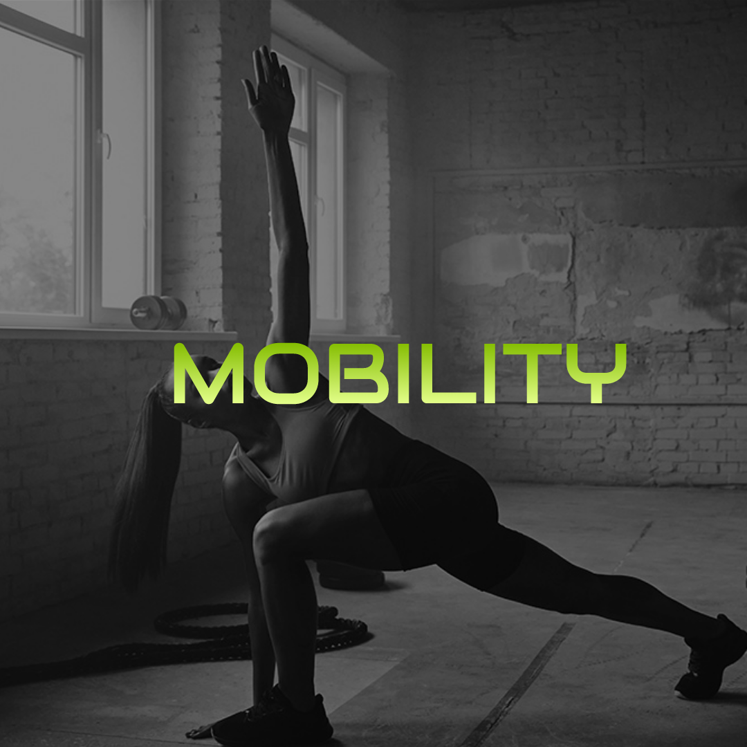 Mobility Ciampino Roma Sud Mega One Gym