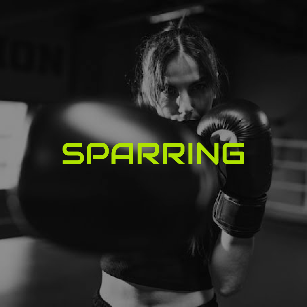 Sparring Combat Ciampino Roma Sud Mega One Gym