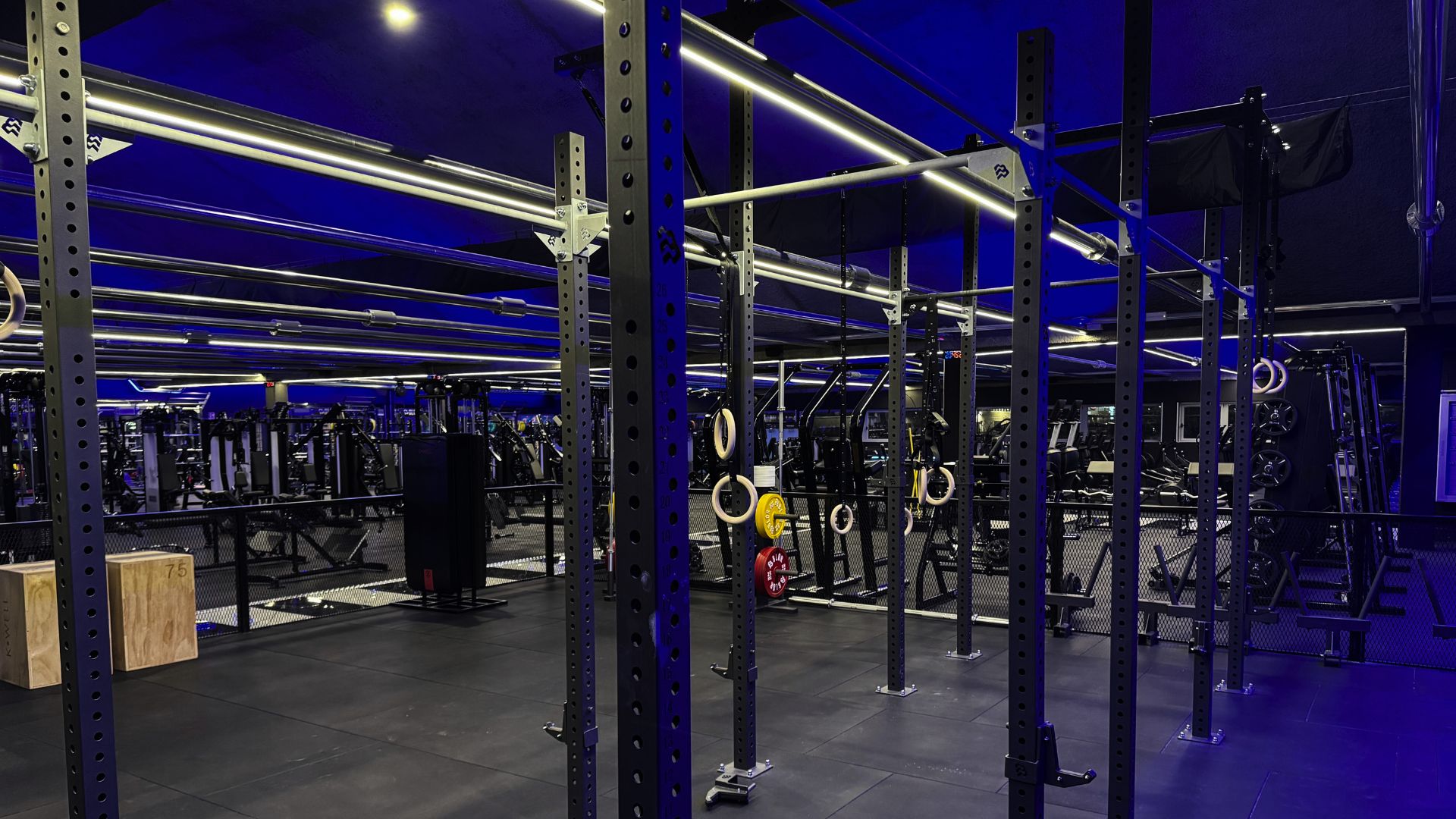Sala-calisthenics